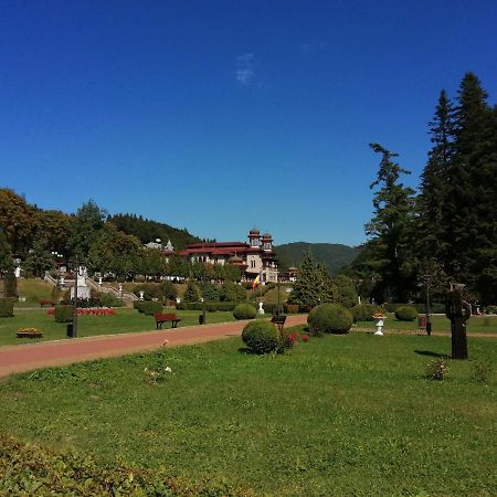 Apartamentul Alfa Slănic-Moldova Eksteriør bilde