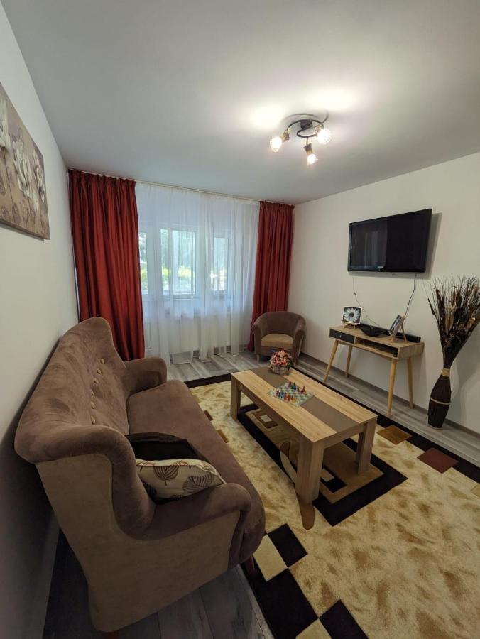 Apartamentul Alfa Slănic-Moldova Eksteriør bilde