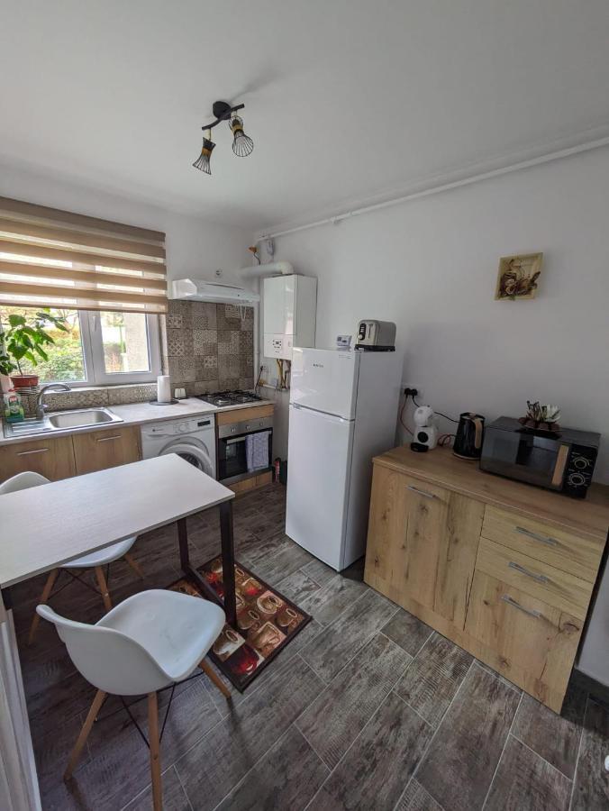 Apartamentul Alfa Slănic-Moldova Eksteriør bilde
