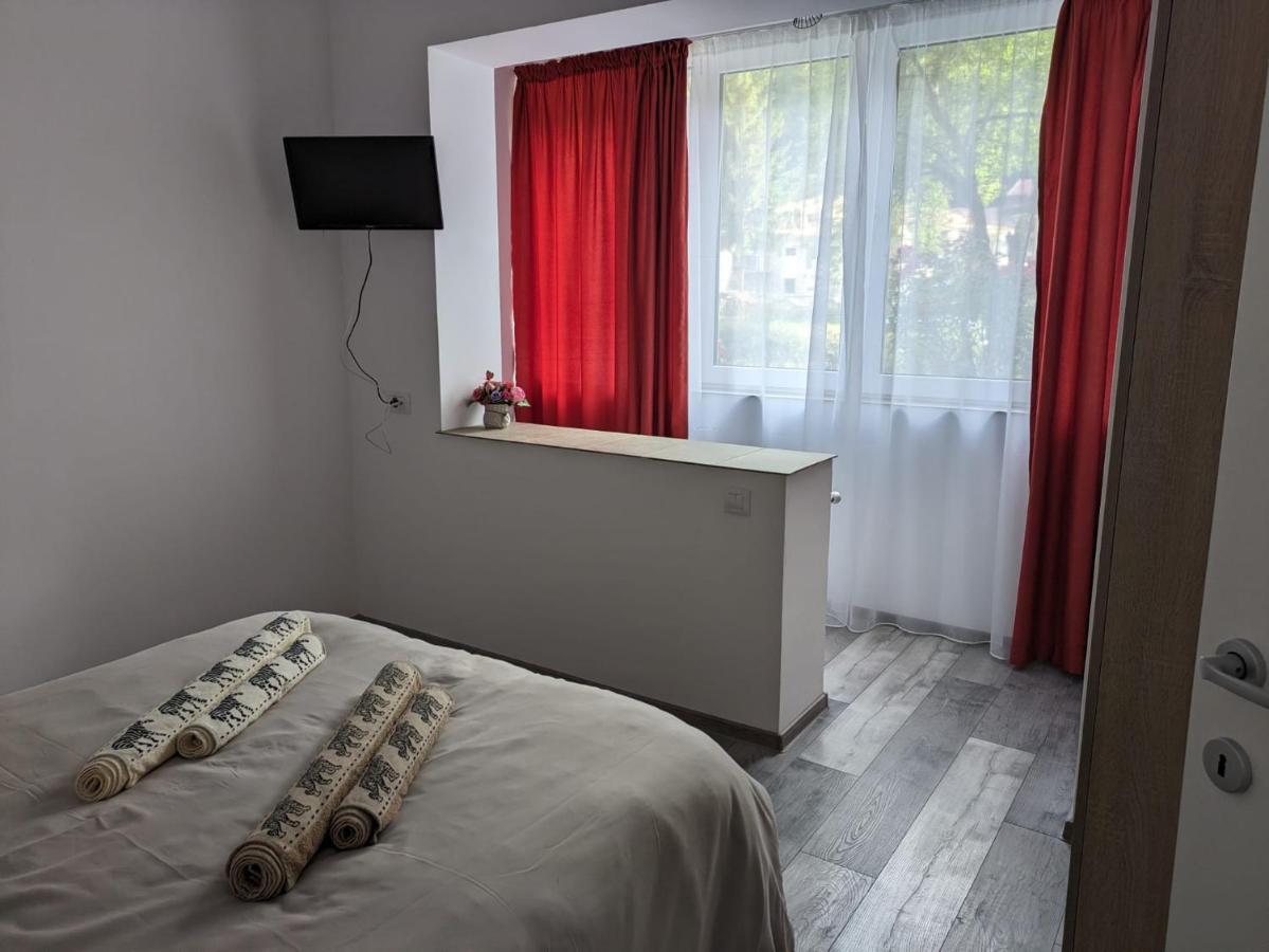 Apartamentul Alfa Slănic-Moldova Eksteriør bilde