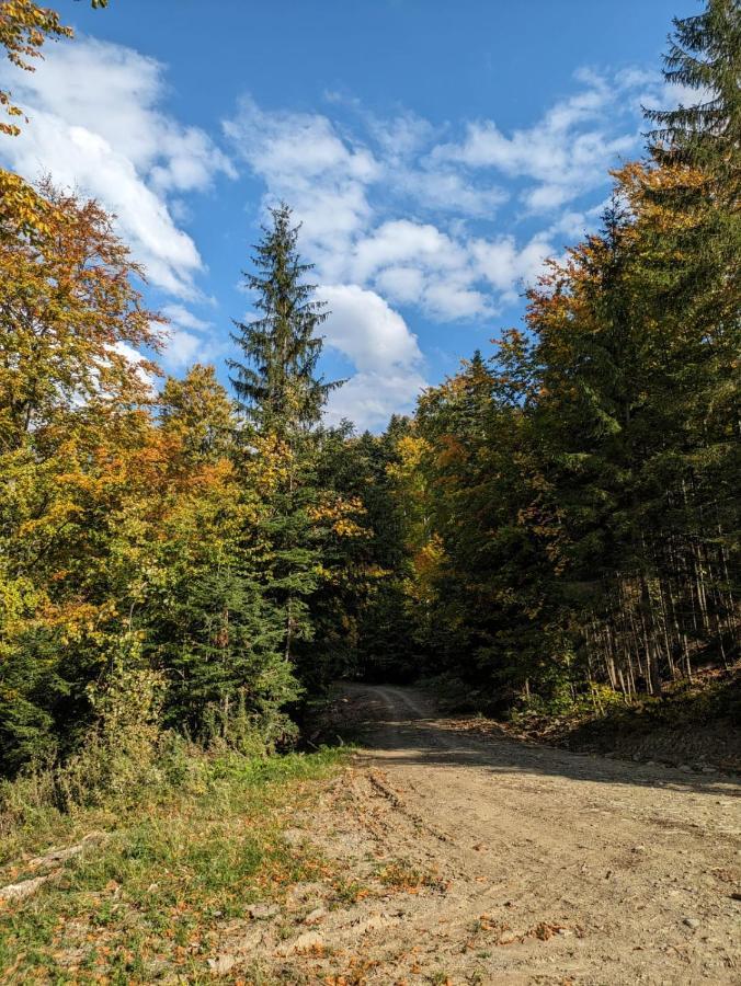 Apartamentul Alfa Slănic-Moldova Eksteriør bilde